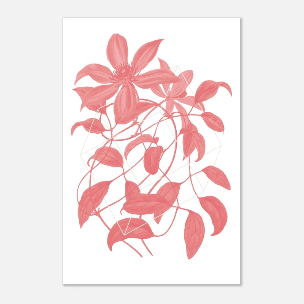 Floralies rosa C2 Art Print Papel Premium