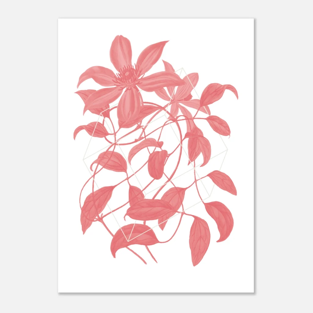 Floralies rosa C2 Art Print Papel Premium
