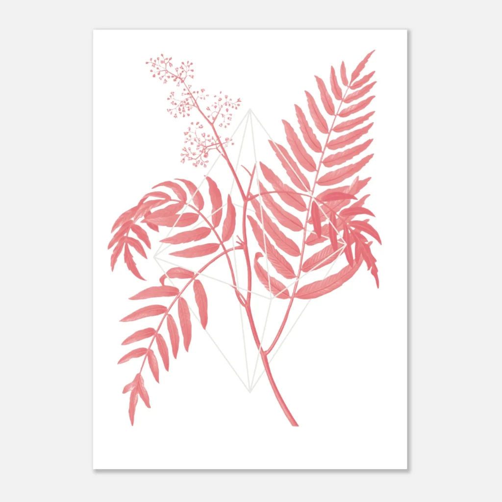 Floralies rosa R2 Art Print Papel Premium