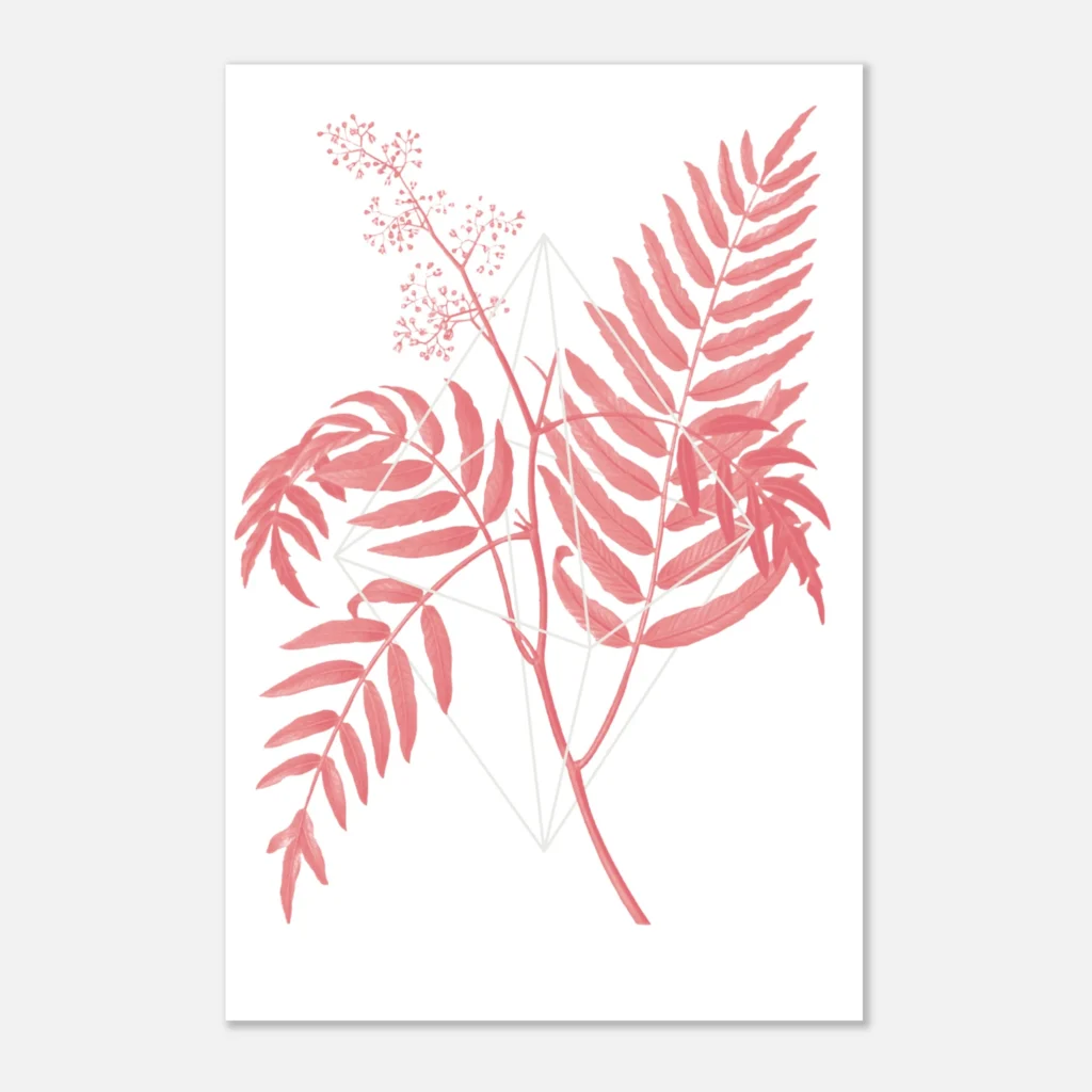 Floralies rosa R2 Art Print Papel Premium
